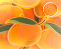 Translucent Mango Acrylic Keychain